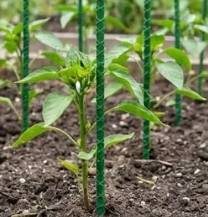 Склопластикова опора для рослин Rebar діаметром 12мм, фото 4
